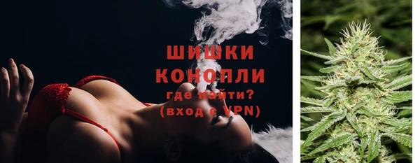 ГАЛЛЮЦИНОГЕННЫЕ ГРИБЫ Беломорск