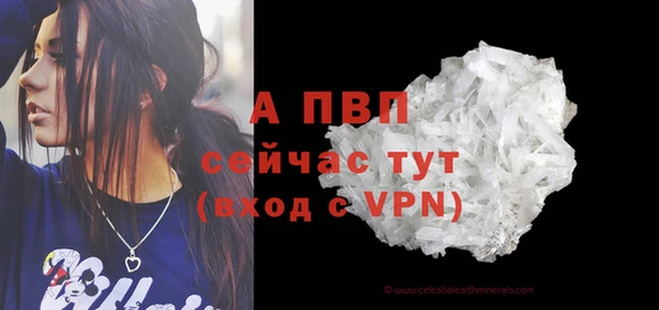 ГАЛЛЮЦИНОГЕННЫЕ ГРИБЫ Беломорск