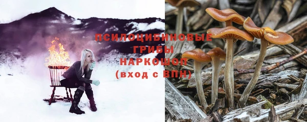 ГАЛЛЮЦИНОГЕННЫЕ ГРИБЫ Беломорск