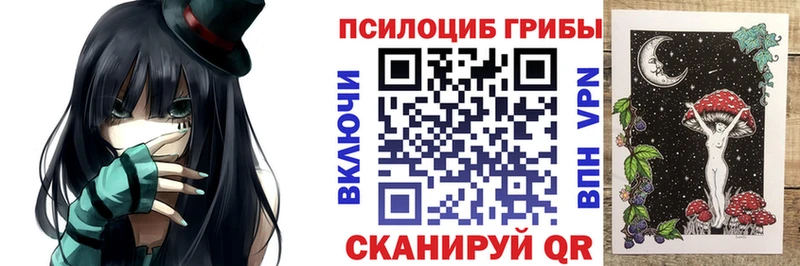 Псилоцибиновые грибы Cubensis  Жигулёвск 